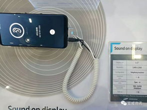 盤(pán)點(diǎn)2018sid年會(huì)展 三星顯示 lg display 京東方 友達(dá)光電 jdi 天馬微電子 維信諾 華山論劍